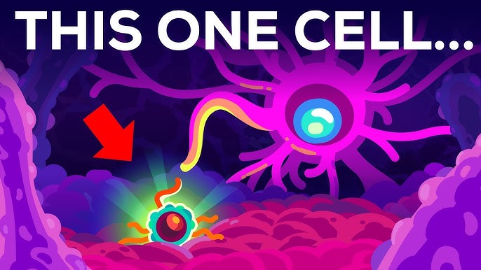 Amikor a legjobb barátunk a legnagyobb ellenségünké válik