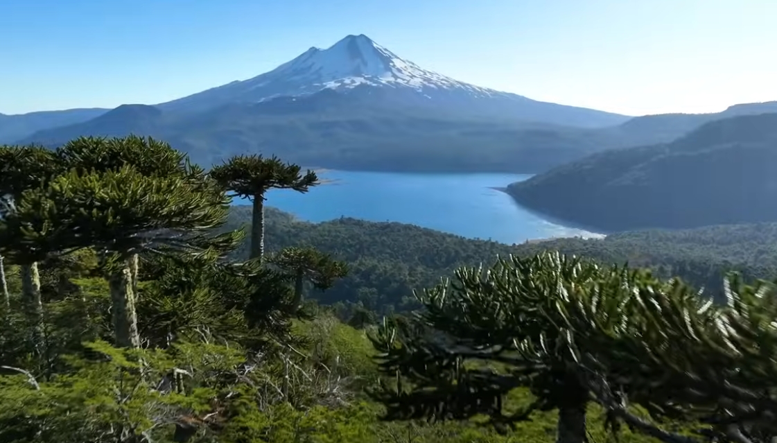 Dél-Amerika méltatlanul hanyagolt ékköve  -Chile