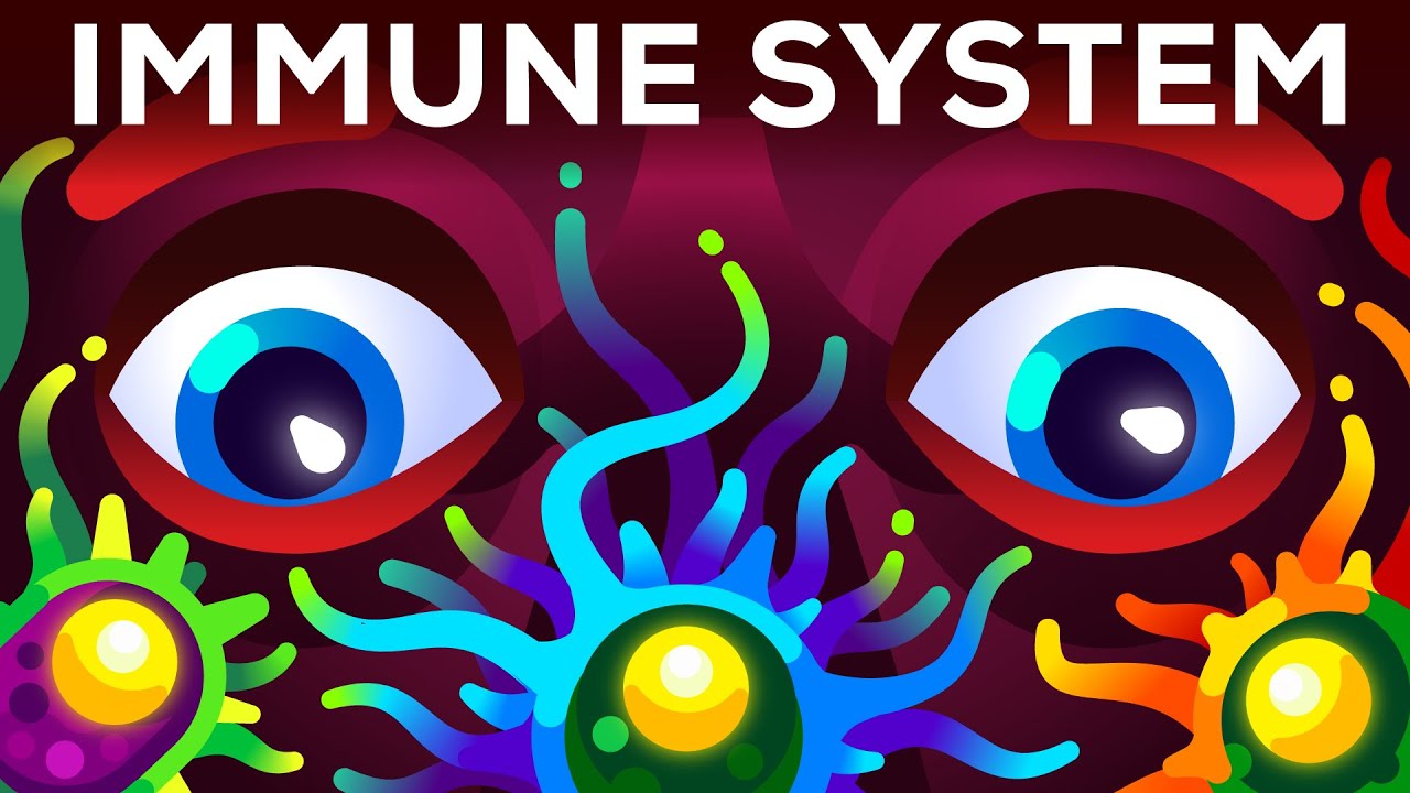 Az immunrendszered veszélyesebb, mint gondolnád