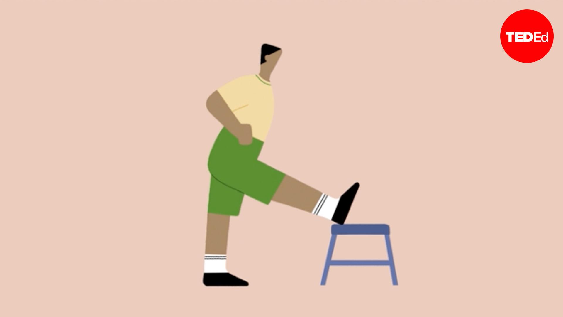 A helyes nyújtás elengedhetetlen a tökéletes izomzat eléréséhez