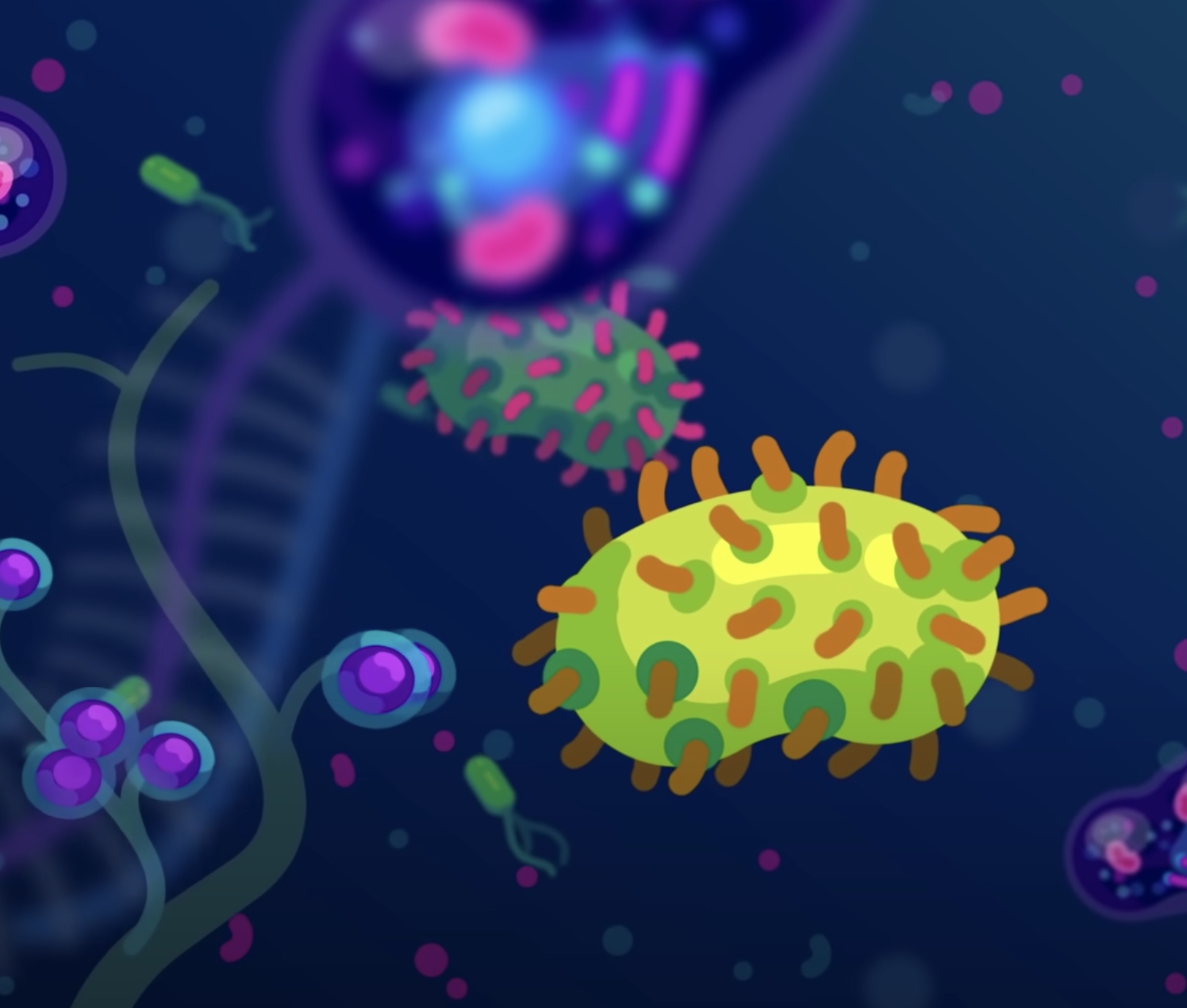 Így őrjítik meg a tudósokat ezek az újonnan felfedezett óriásvírusok